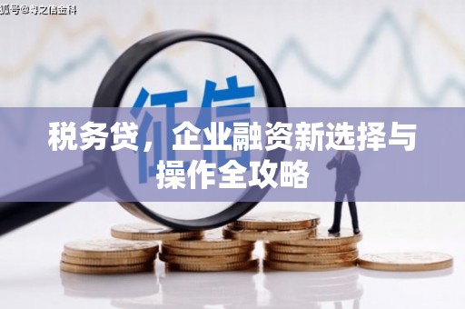 南华税务贷，企业融资新选择与操作全攻略