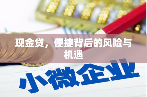 南华现金贷，便捷背后的风险与机遇