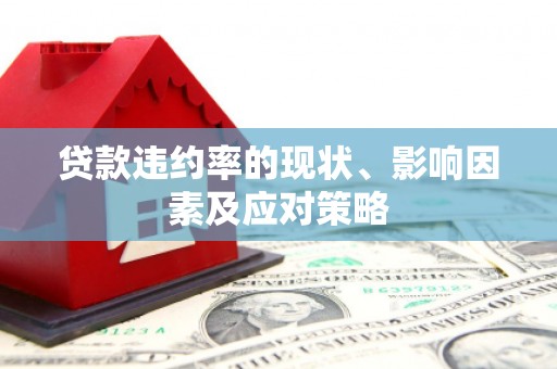 南华贷款违约率的现状、影响因素及应对策略
