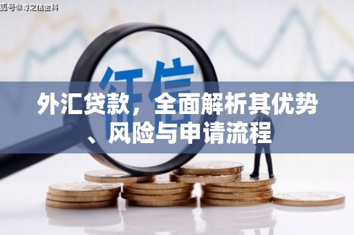南华外汇贷款，全面解析其优势、风险与申请流程