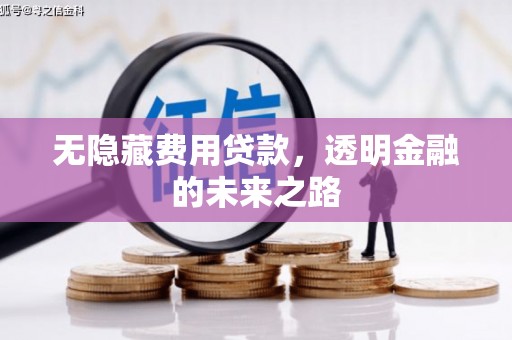 南华无隐藏费用贷款，透明金融的未来之路