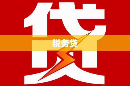南华税务贷