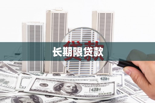 南华长期限贷款