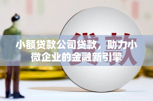 南华小额贷款公司贷款，助力小微企业的金融新引擎