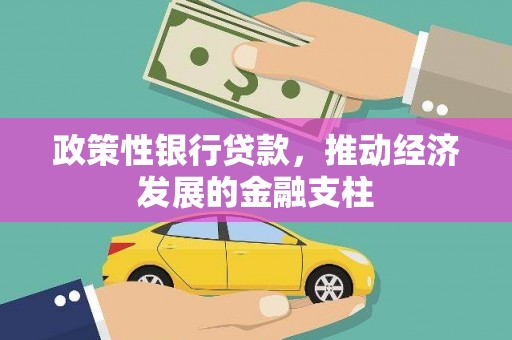 南华政策性银行贷款，推动经济发展的金融支柱
