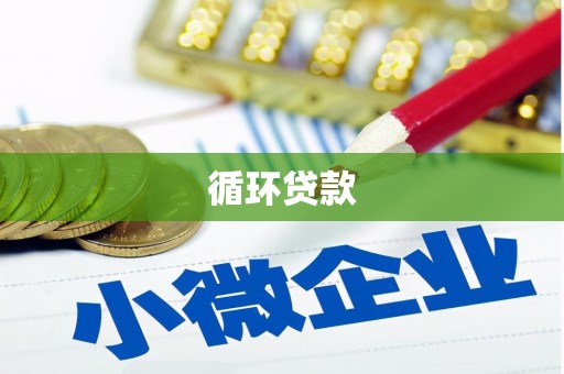 南华循环贷款
