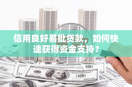 南华信用良好易批贷款，如何快速获得资金支持？