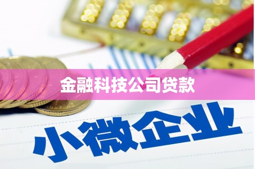 南华金融科技公司贷款