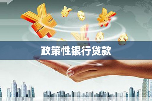 南华政策性银行贷款