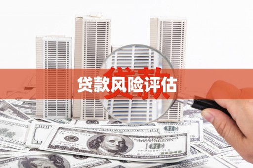 南华贷款风险评估