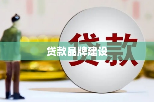 南华贷款品牌建设