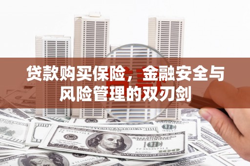 南华贷款购买保险，金融安全与风险管理的双刃剑