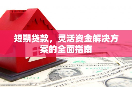 南华短期贷款，灵活资金解决方案的全面指南