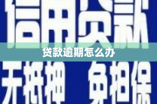 南华贷款逾期怎么办