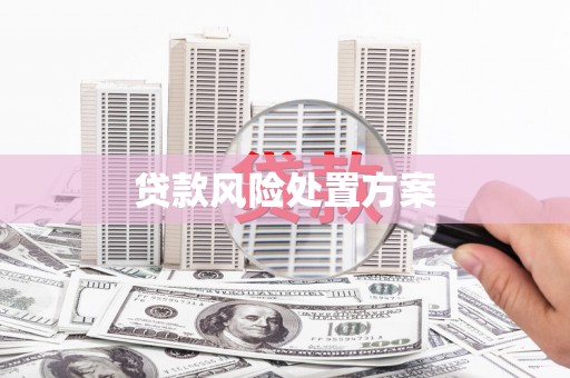 南华贷款风险处置方案