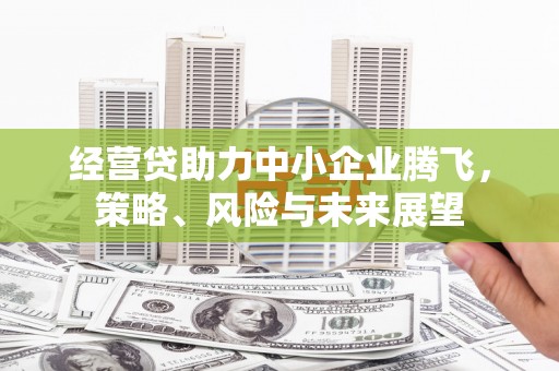 南华经营贷助力中小企业腾飞，策略、风险与未来展望