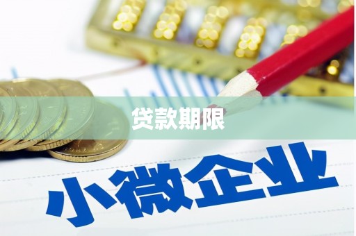 南华贷款期限