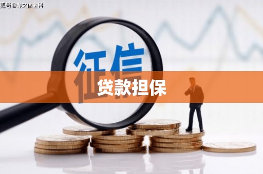 南华贷款担保