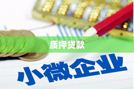 南华质押贷款