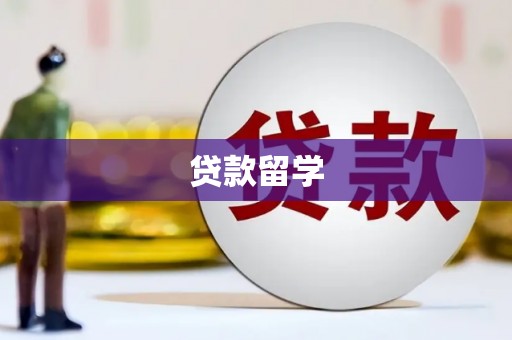 南华贷款留学