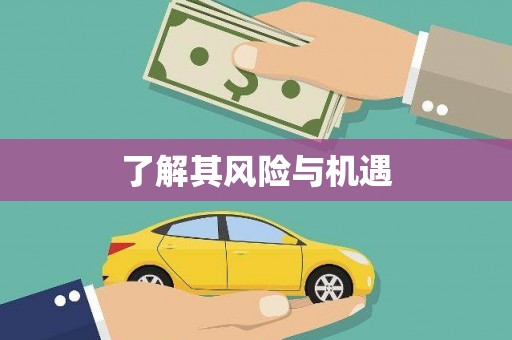 南华了解其风险与机遇