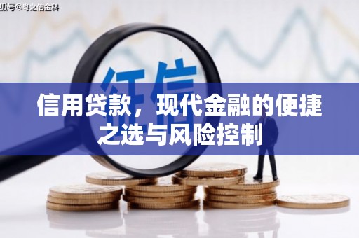 南华信用贷款，现代金融的便捷之选与风险控制