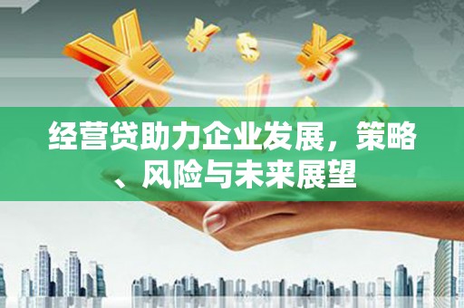 南华经营贷助力企业发展，策略、风险与未来展望