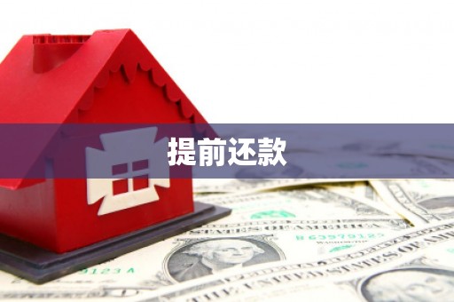 南华提前还款