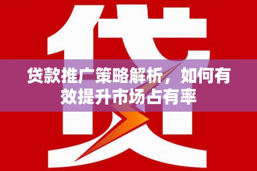 南华贷款推广策略解析，如何有效提升市场占有率
