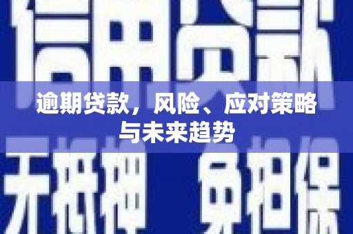 南华逾期贷款，风险、应对策略与未来趋势