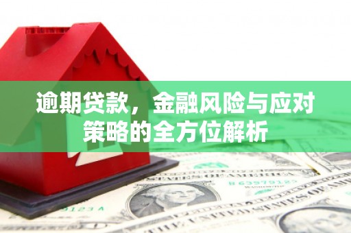 南华逾期贷款，金融风险与应对策略的全方位解析