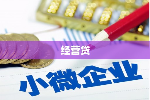 南华经营贷