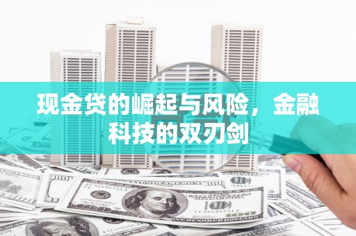 南华现金贷的崛起与风险，金融科技的双刃剑