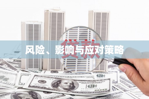 南华风险、影响与应对策略