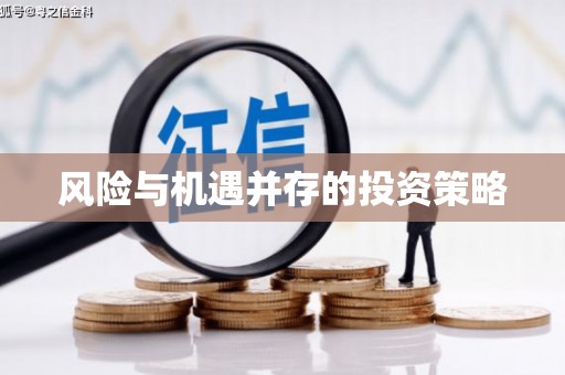 南华风险与机遇并存的投资策略