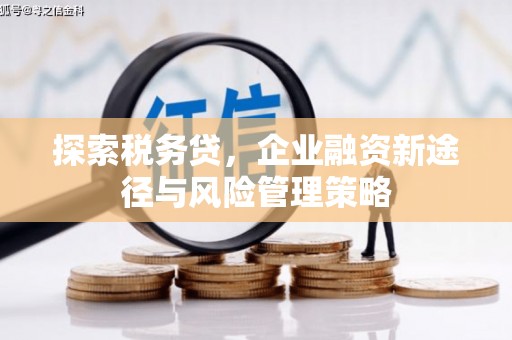 南华探索税务贷，企业融资新途径与风险管理策略