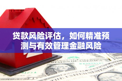 南华贷款风险评估，如何精准预测与有效管理金融风险