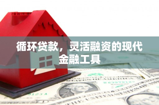 南华循环贷款，灵活融资的现代金融工具