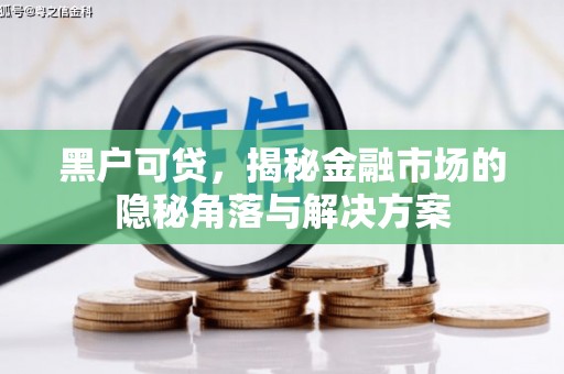 南华黑户可贷，揭秘金融市场的隐秘角落与解决方案