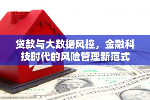 南华贷款与大数据风控，金融科技时代的风险管理新范式