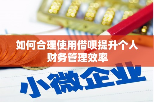 南华如何合理使用借呗提升个人财务管理效率