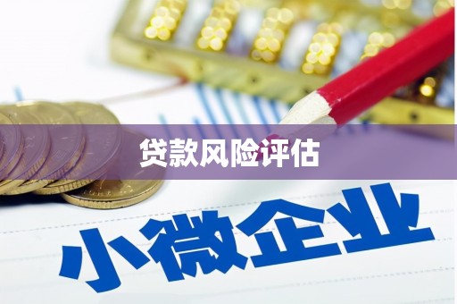 南华贷款风险评估