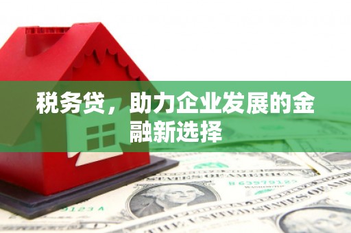 南华税务贷，助力企业发展的金融新选择