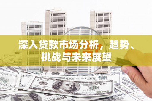 南华深入贷款市场分析，趋势、挑战与未来展望