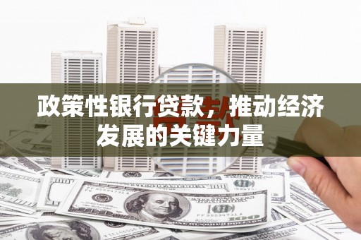 南华政策性银行贷款，推动经济发展的关键力量