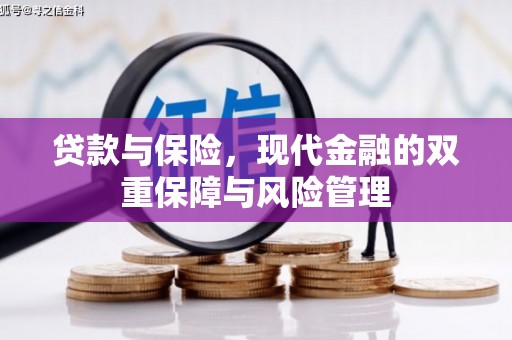 南华贷款与保险，现代金融的双重保障与风险管理