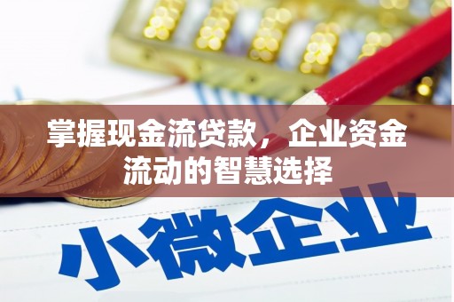 南华掌握现金流贷款，企业资金流动的智慧选择