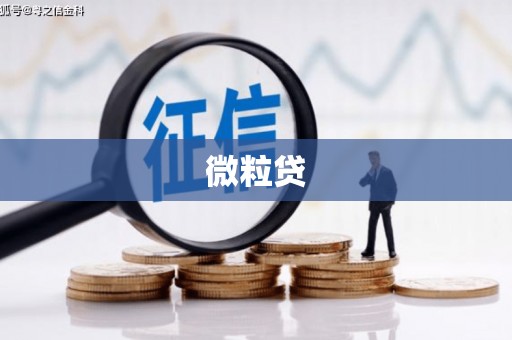 南华微粒贷