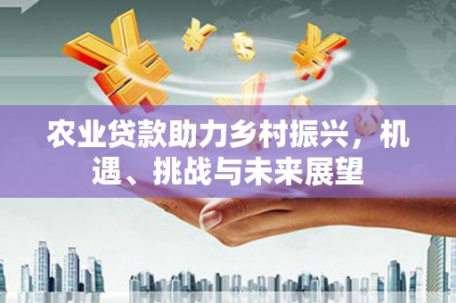 南华农业贷款助力乡村振兴，机遇、挑战与未来展望