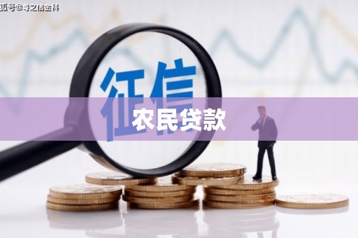 南华农民贷款